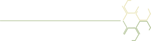 Karl F. Seidman Consulting Services Logo
